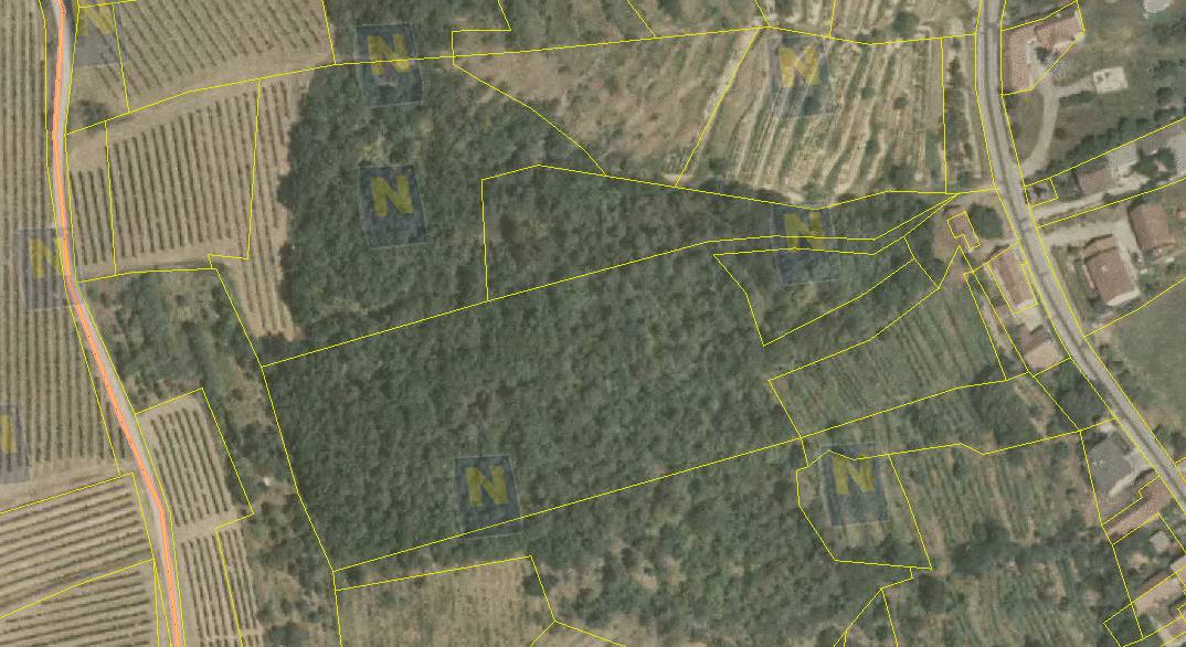 Luftaufnahme mit Grenzen